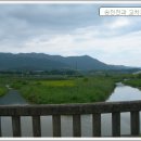 동촌천 Daum카페