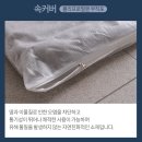 삼익로지스 | 삼익 토퍼 매트리스 사용 후기 및 총 정리