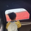 2231 | 4살 남자아이와 대한항공 KE2230/KE2231 롯데면세,기내식,탑승 후기: 상하이 푸동 ↔ 부산 김해/중국...