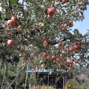 매곡2리 경로당 이미지