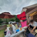 애견1번지 이미지