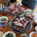제주 신례토종닭식당 서귀포 현지인 오리고기 맛집 내돈내산 후기