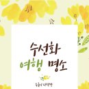 지리산나들이농원 | 수선화 여행지 봄날의 황금빛 물결 여행지 완벽 가이드 구례 서산 예산 홍성 신안 거제 부산 광주 위치...