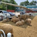 해운목장 이미지