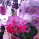 오!바 이미지