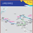 [5월 5일(수요일)]소백산 자락길 트래킹 첫날 이미지