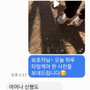 바우스쿨 이미지