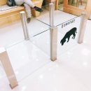 마음반려동물의료원
