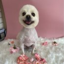 오수동물병원 이미지