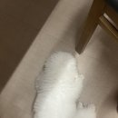 ♥240620♥ 나니생일 기념 포항논노 가깅(노블리안형산독채풀빌라)