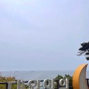 머큐어앰배서더호텔울산 | 울산 여행 추천｜대왕암공원과 머큐어 앰배서더 울산 1박 2일 솔직후기