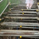 경산휴게소 이미지