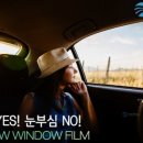 마스터코팅강릉점