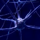 현신경외과의원 이미지