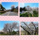 은혜병원 이미지