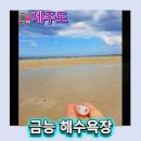 제주 금능 해수욕장 후기｜제주도 아이랑 가기 좋은 제주도가볼만한곳 추천