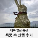 폭풍 | 대구 앞산 등산코스 주차장 폭풍 속 산행 후기
