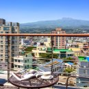 비스타케이 천지연 이미지