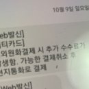 나 해외여행 가려구 항공편 구매했는데 문자 이게 무슨 소리야?? 이미지