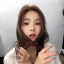 하루와이틀 이미지