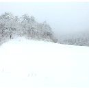 안동여자고등학교 이미지