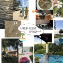9시목요 성인요가 | 나트랑 리조트 더아남깜란 힐탑풀빌라 - 스파, 조식, 수영장 내돈내산 후기