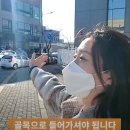 피엘디 이미지