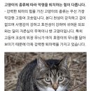 핑크사진관