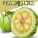 해수피아 이미지