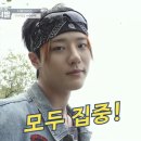 초코랩 이미지