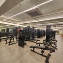 리스펙짐 이미지