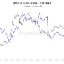 시그널8 이미지