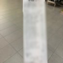 [퍼스 워홀 4주차] | 에이전시 또직컨, 차량 구매 시도, 메디컬 테스트