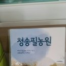 청송필농원 이미지