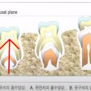 보타닉동물병원 이미지