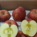 박종길농장 이미지