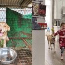 롯데목장 이미지