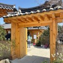경주백화점대형약국 | 경주 대형 한옥카페 테라로사 고분뷰 경주 여행 필수코스 후기