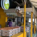 고내농장 이미지