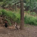 멍이네 약용 곤충농장 이미지