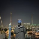 요트랑 | 부산여행코스 야경 한눈에 담은 해운대 부산요트투어 요트랑 실탑승 후기