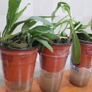 예사랑음악학원 이미지