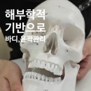 (주)마니커 천안지점 | 천안예신이 아나토미에스테틱에서 천안웨딩관리 받은 후기