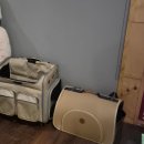 기린당구장 | 대구 파티룸 "어스"에서 모임해야하는 이유(놀거리대폭발,만족도 최상)