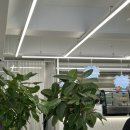 오,선데이(Oh,Sunday) 이미지