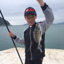 황금펜션민박 이미지