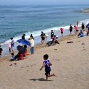 바다정원 이미지