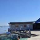 뜰앞바다 이미지