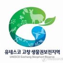고창굼벵이