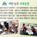 차리농장 네이버블로그